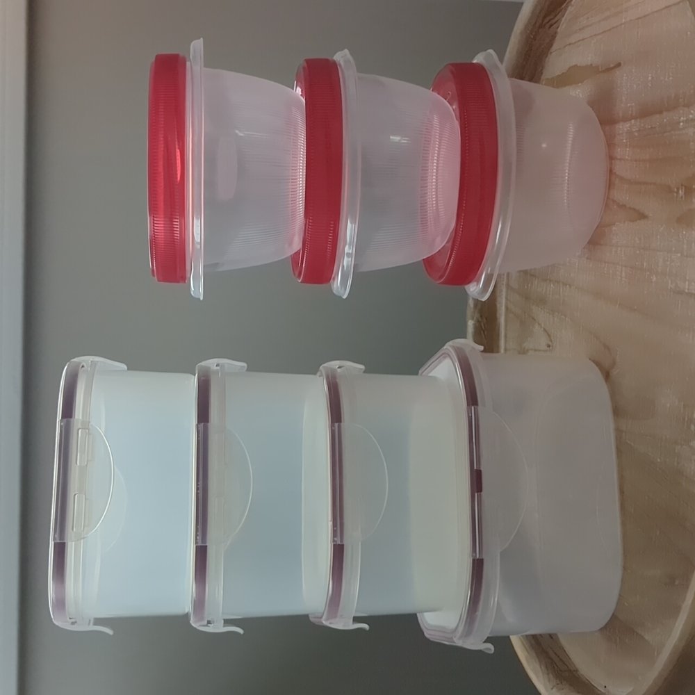Plastic food leftover containers